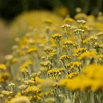 Tuscan Escape For Families * 카솔레 델사